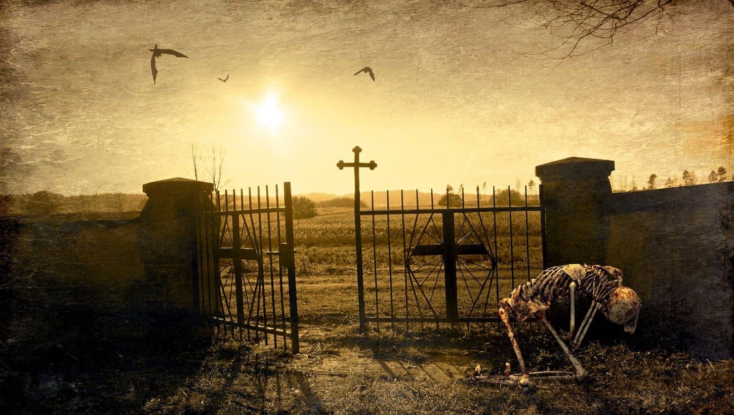 Skeleton kneeling in front of a cemetery