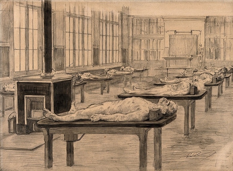 Dissecting Room with cadavers laid on table 