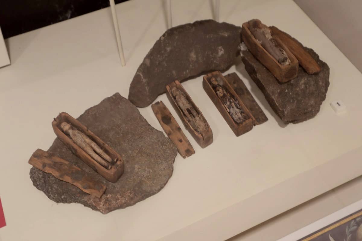 Edinburgh Miniature Coffins at National Museum Scotland