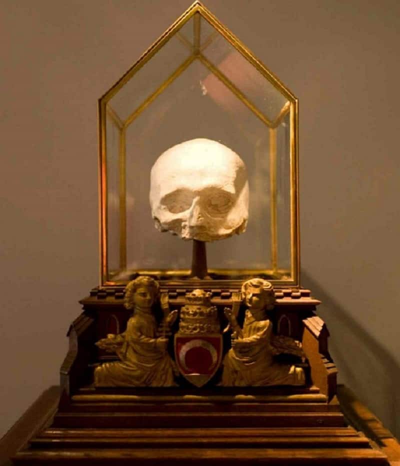 Cast of Pope Benedcit XIII Skull at University of St Andrews